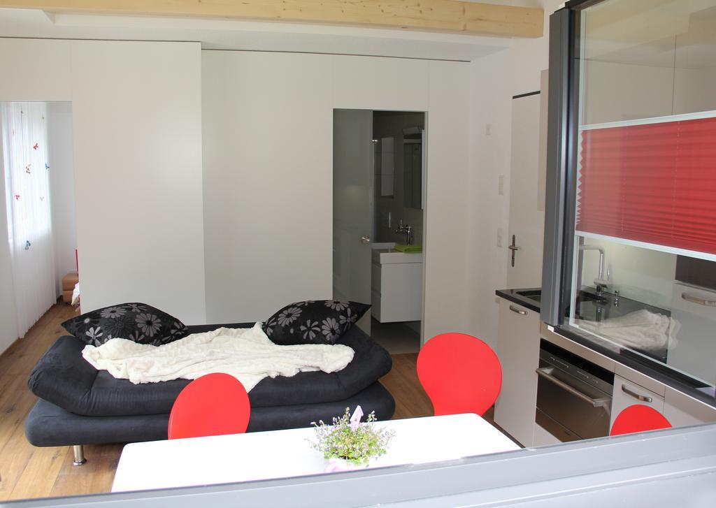 Appartement Haus Steiner à Göschenen Extérieur photo